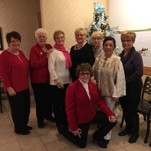 Meet your Posher, Sandy